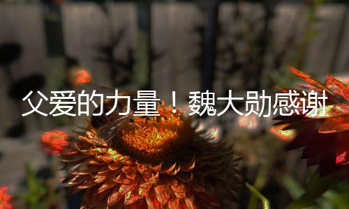 勋感谢父量自己魏大要放的力说坚亲在弃时父爱持